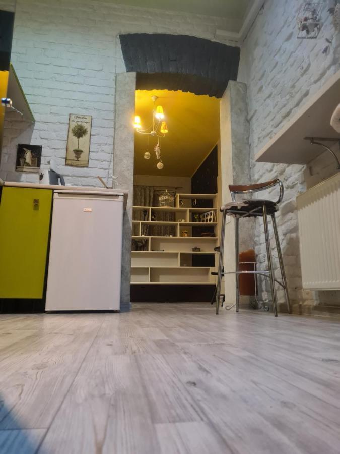 Cozy Compact Flat In The City Center Lviv Exterior photo